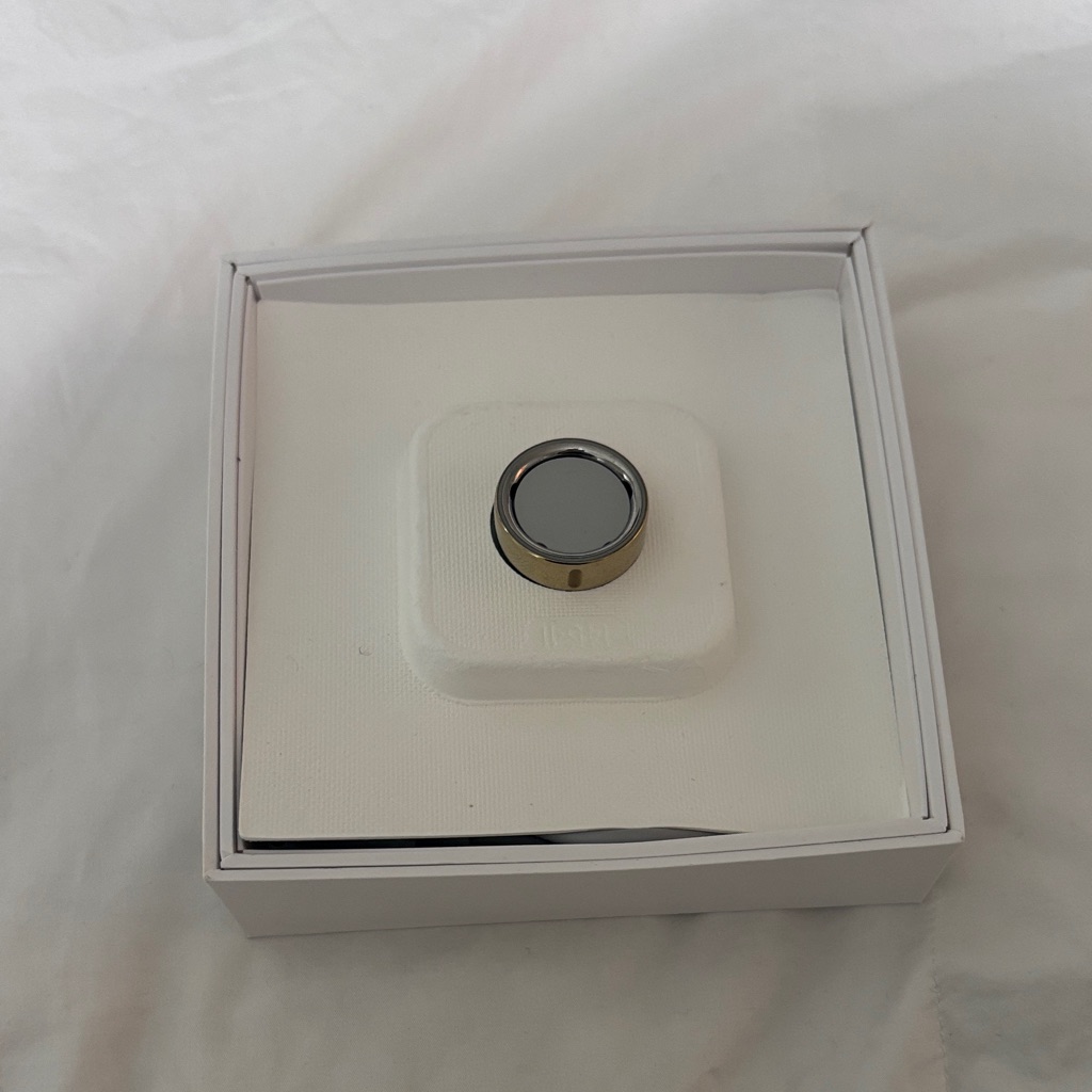 Oura Silver And Gold Ring Oura Silver And Gold Ring